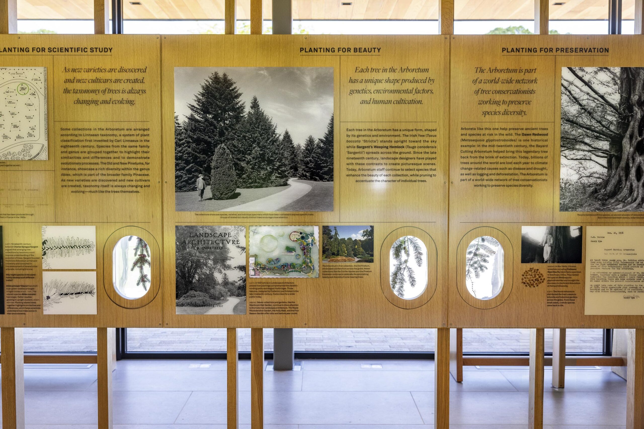 P+ABCA_MG_0800 social media