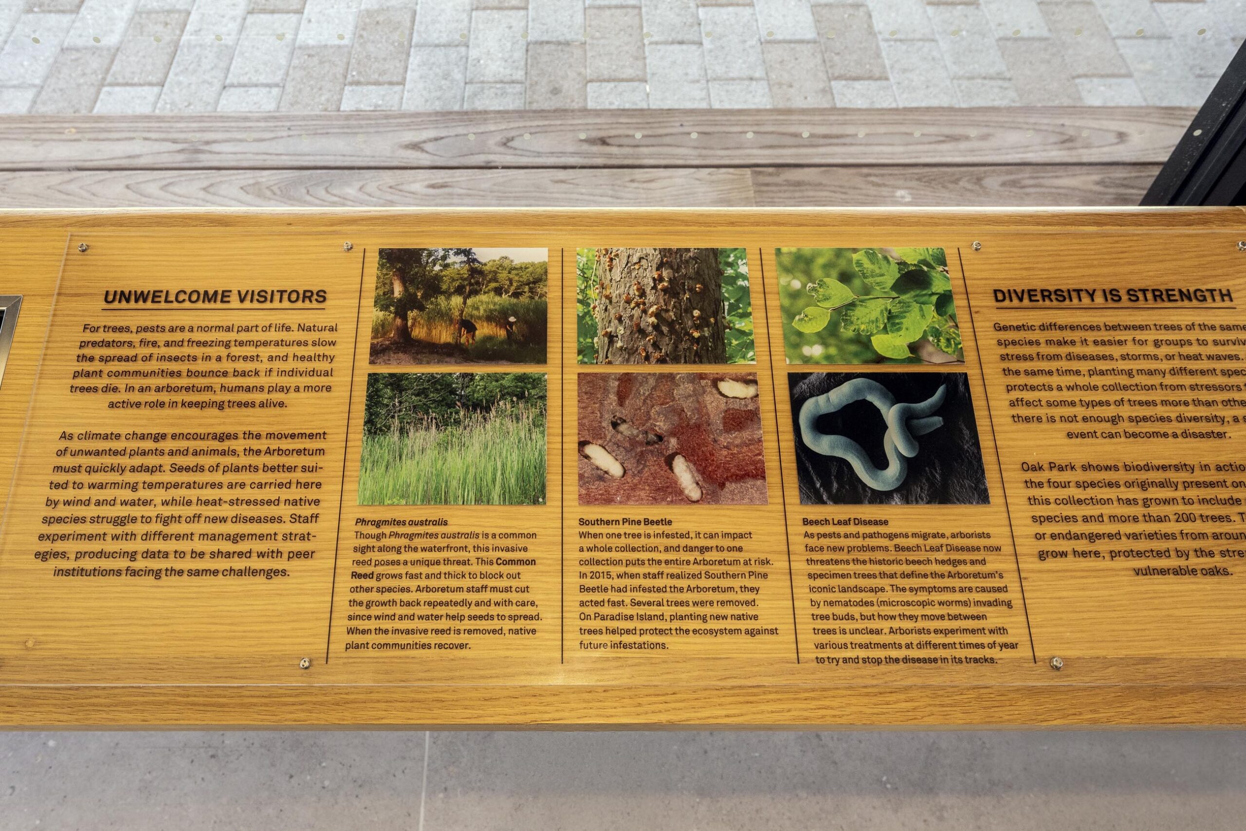 Visitor Center at Bayard Cutting Arboretum