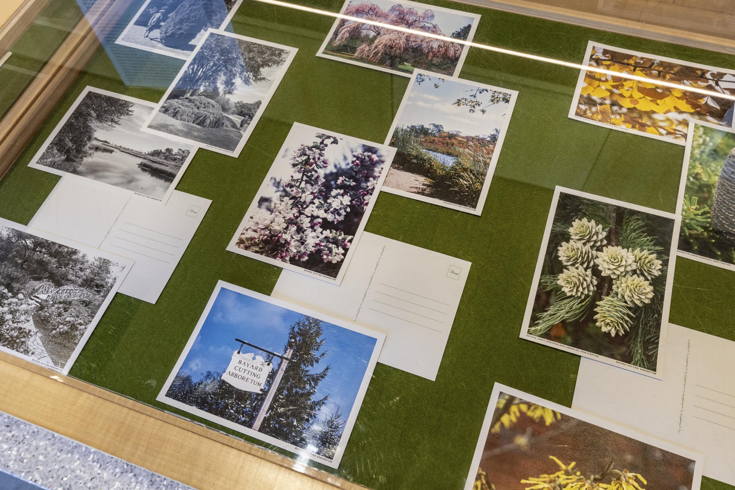 Visitor Center at Bayard Cutting Arboretum